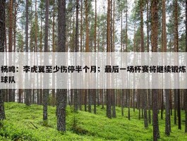 杨鸣：李虎翼至少伤停半个月；最后一场杯赛将继续锻炼球队