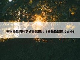 宠物松鼠哪种更好养活图片（宠物松鼠图片大全）