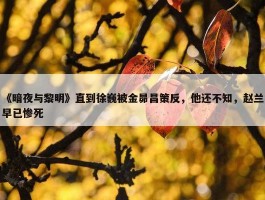 《暗夜与黎明》直到徐巍被金昴昌策反，他还不知，赵兰早已惨死