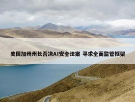 美国加州州长否决AI安全法案 寻求全面监管框架