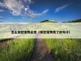 怎么安慰宠物去世（安慰宠物死了的句子）