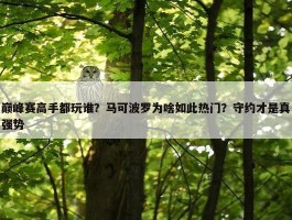 巅峰赛高手都玩谁？马可波罗为啥如此热门？守约才是真强势