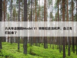 六大车企围殴Model Y！特斯拉还没吭声，自己先打起来了