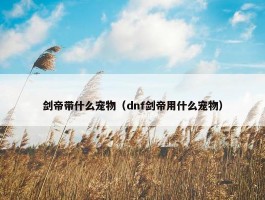 剑帝带什么宠物（dnf剑帝用什么宠物）