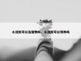 小浣熊可以当宠物吗，小浣熊可以领养吗