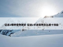 征途2哪种宠物更好 征途2手游宠物怎么砸十技能