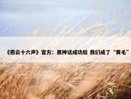 《燕云十六声》官方：黑神话成功后 我们成了“黄毛”