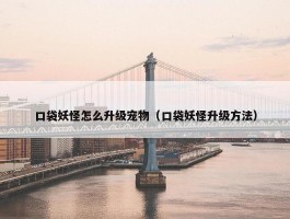 口袋妖怪怎么升级宠物（口袋妖怪升级方法）