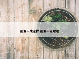 副业干成这样 副业干点啥吧