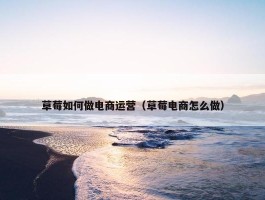 草莓如何做电商运营（草莓电商怎么做）