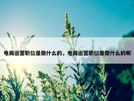 电商运营职位是做什么的，电商运营职位是做什么的呢