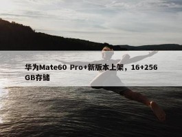 华为Mate60 Pro+新版本上架，16+256GB存储