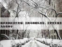 国乒凌晨赴法兰克福！王皓马琳随队出征，王楚钦王曼昱为头号种子