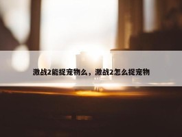 激战2能捉宠物么，激战2怎么捉宠物