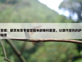 意媒：都灵有意冬窗签国米前锋科雷亚，以替代受伤的萨帕塔