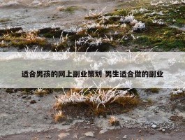 适合男孩的网上副业策划 男生适合做的副业