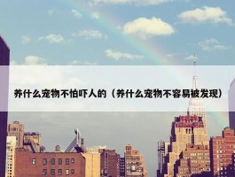 养什么宠物不怕吓人的（养什么宠物不容易被发现）