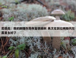 厄德高：我的脚踝伤势恢复很顺利 再次见到拉姆斯代尔真是太好了