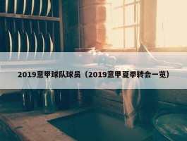 2019意甲球队球员（2019意甲夏季转会一览）