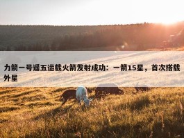 力箭一号遥五运载火箭发射成功：一箭15星，首次搭载外星