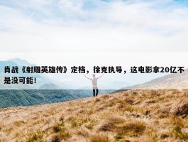 肖战《射雕英雄传》定档，徐克执导，这电影拿20亿不是没可能！