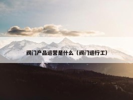 阀门产品运营是什么（阀门运行工）