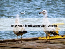 《影之刃零》极难模式游民试玩：战斗爽！