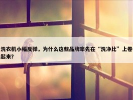 洗衣机小幅反弹，为什么这些品牌率先在“洗净比”上卷起来？