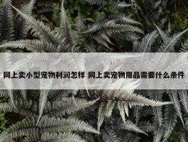 网上卖小型宠物利润怎样 网上卖宠物用品需要什么条件