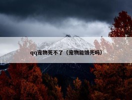 qq宠物死不了（宠物能饿死吗）