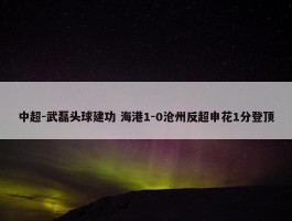 中超-武磊头球建功 海港1-0沧州反超申花1分登顶