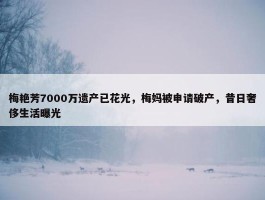 梅艳芳7000万遗产已花光，梅妈被申请破产，昔日奢侈生活曝光