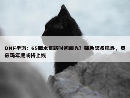 DNF手游：65版本更新时间曝光？辅助装备现身，奥兹玛年底或将上线