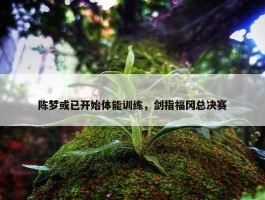 陈梦或已开始体能训练，剑指福冈总决赛