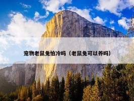 宠物老鼠兔怕冷吗（老鼠兔可以养吗）