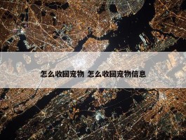 怎么收回宠物 怎么收回宠物信息