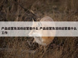 产品运营及活动运营是什么 产品运营及活动运营是什么工作