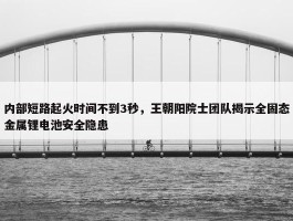 内部短路起火时间不到3秒，王朝阳院士团队揭示全固态金属锂电池安全隐患