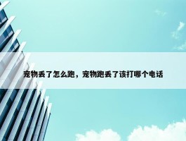 宠物丢了怎么跑，宠物跑丢了该打哪个电话