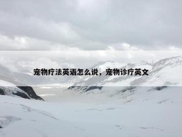 宠物疗法英语怎么说，宠物诊疗英文