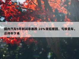 国内汽车9月利润率暴跌 28%背后原因，亏损卖车，还停不下来