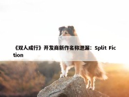 《双人成行》开发商新作名称泄漏：Split Fiction