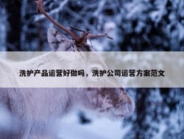 洗护产品运营好做吗，洗护公司运营方案范文