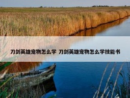 刀剑英雄宠物怎么学 刀剑英雄宠物怎么学技能书