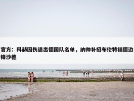 官方：科赫因伤退出德国队名单，纳帅补招布伦特福德边锋沙德