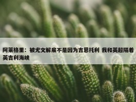 阿莱格里：被尤文解雇不是因为吉恩托利 我和英超隔着英吉利海峡