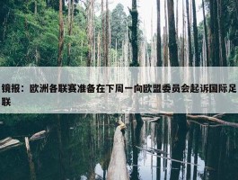 镜报：欧洲各联赛准备在下周一向欧盟委员会起诉国际足联