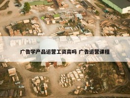 广告学产品运营工资高吗 广告运营课程