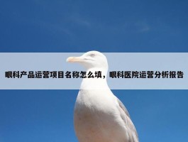 眼科产品运营项目名称怎么填，眼科医院运营分析报告