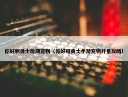 你好啊勇士后期宠物（你好呀勇士手游宠物升星攻略）